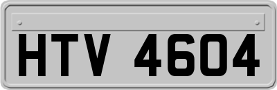 HTV4604