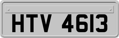 HTV4613
