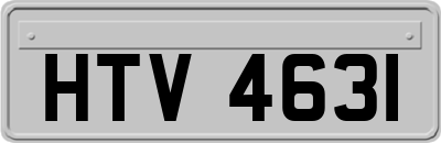 HTV4631