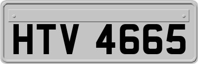 HTV4665
