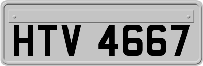 HTV4667