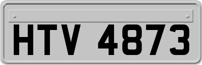 HTV4873