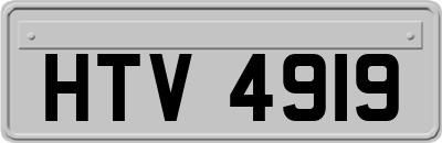 HTV4919