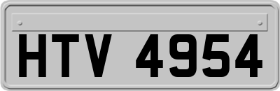 HTV4954