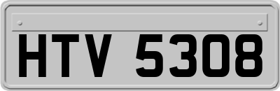 HTV5308