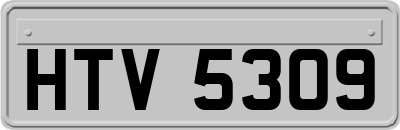 HTV5309