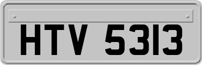 HTV5313