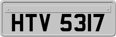 HTV5317