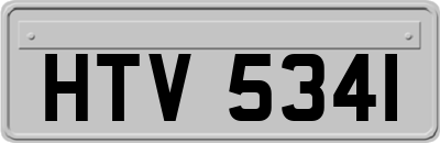 HTV5341
