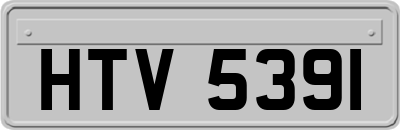 HTV5391