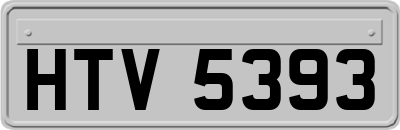 HTV5393