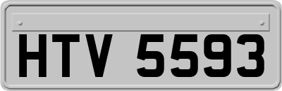 HTV5593