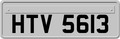 HTV5613