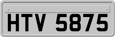 HTV5875