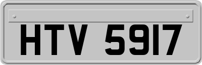 HTV5917