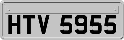 HTV5955