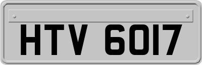 HTV6017