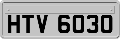 HTV6030