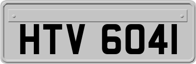 HTV6041