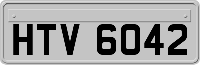 HTV6042