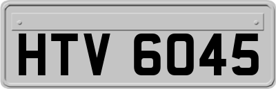HTV6045