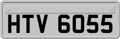 HTV6055