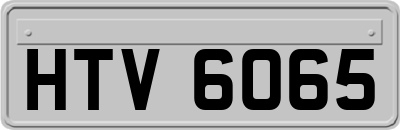 HTV6065