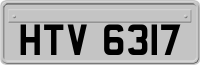 HTV6317