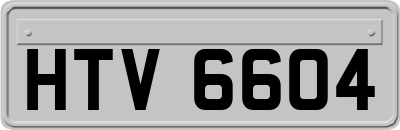 HTV6604