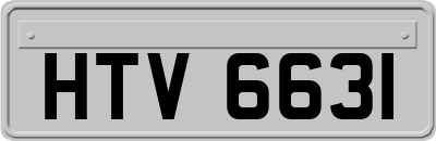 HTV6631