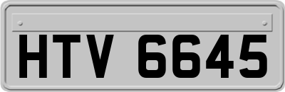 HTV6645