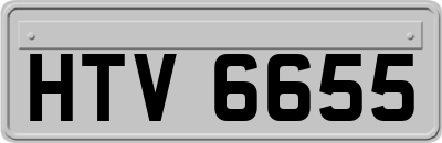 HTV6655