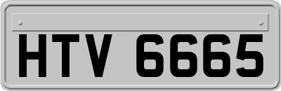 HTV6665