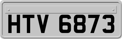 HTV6873