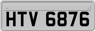 HTV6876