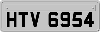 HTV6954