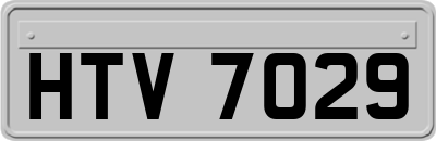 HTV7029