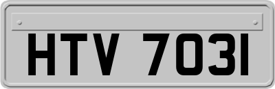 HTV7031