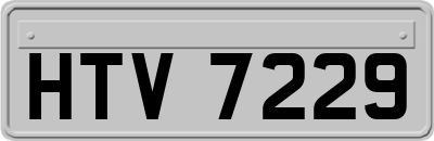 HTV7229