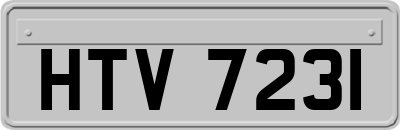 HTV7231