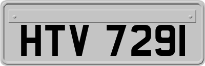 HTV7291