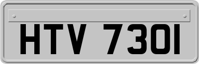 HTV7301