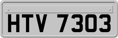 HTV7303