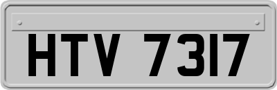 HTV7317