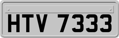HTV7333