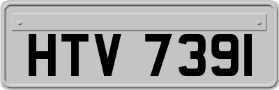 HTV7391