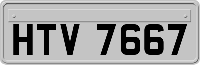 HTV7667