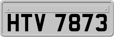 HTV7873