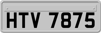 HTV7875