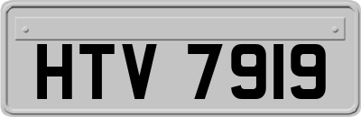 HTV7919